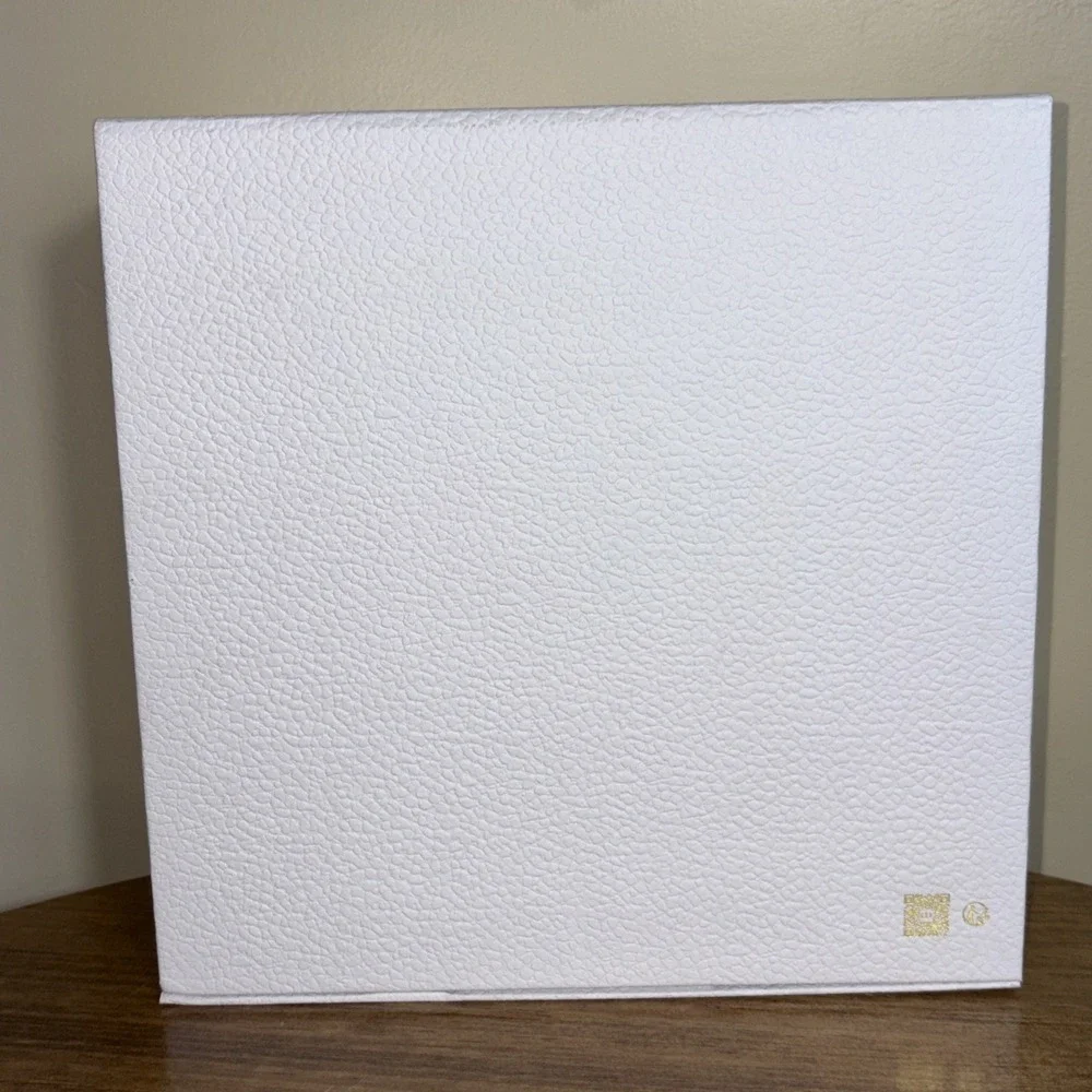 DIOR MEDIUM WHITE PEBBLE BOX 9